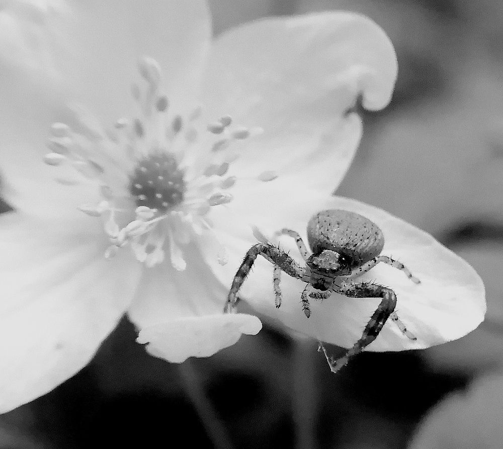 Photograph by Елена Казакова