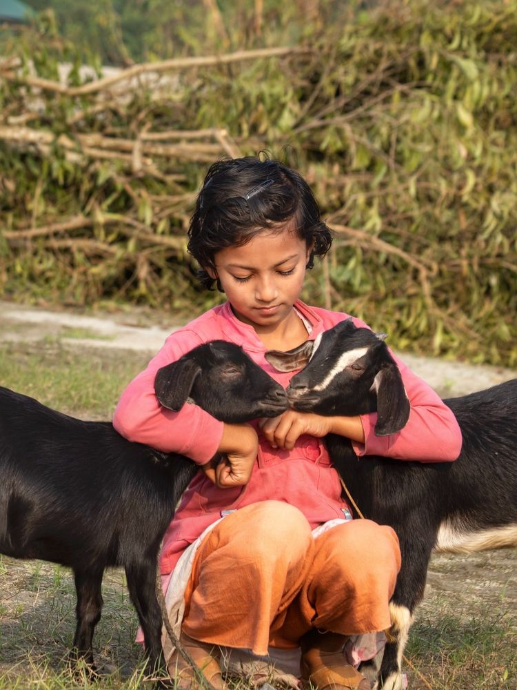 Фотография автора Washiful Majid