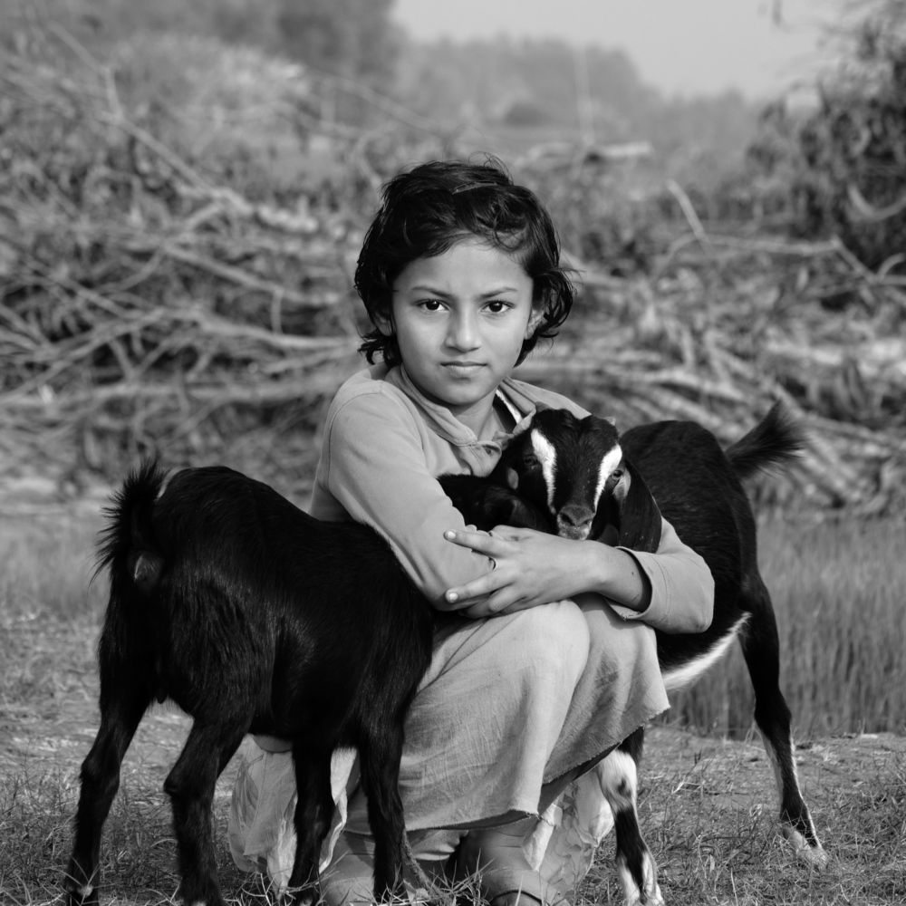 Фотография автора Washiful Majid