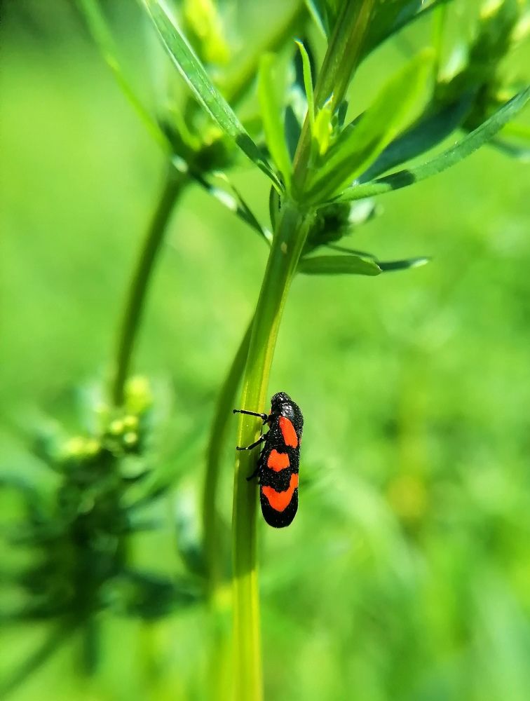 Photograph by Елена Казакова