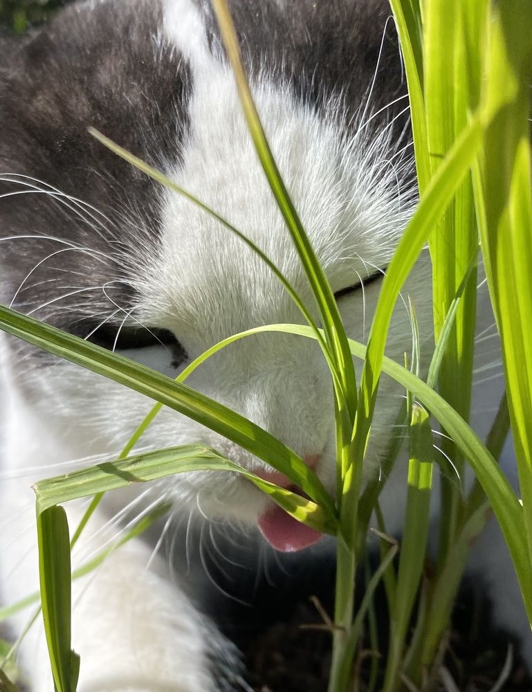 Photograph by Василина