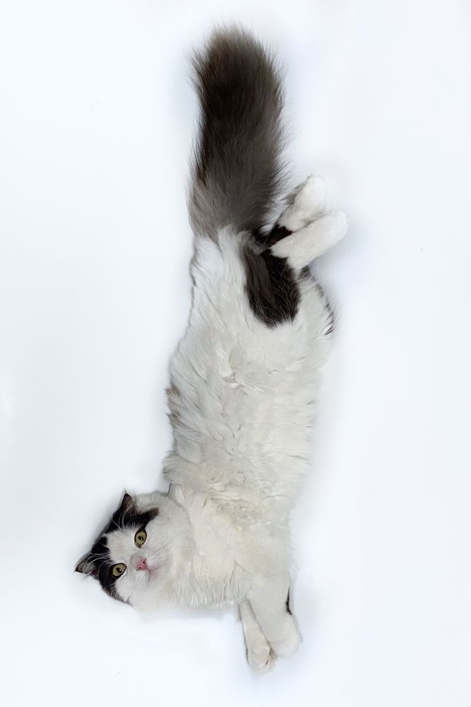 Люблю ванную, но не люблю мыться