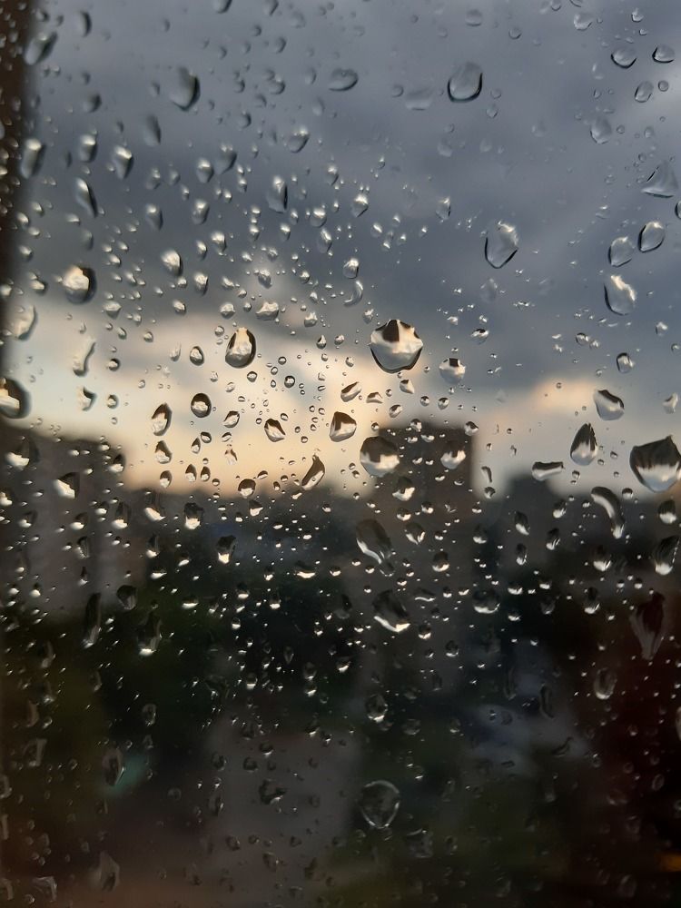 Photograph by Алина