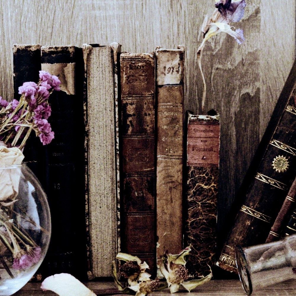 Photograph by Ксения Шилина