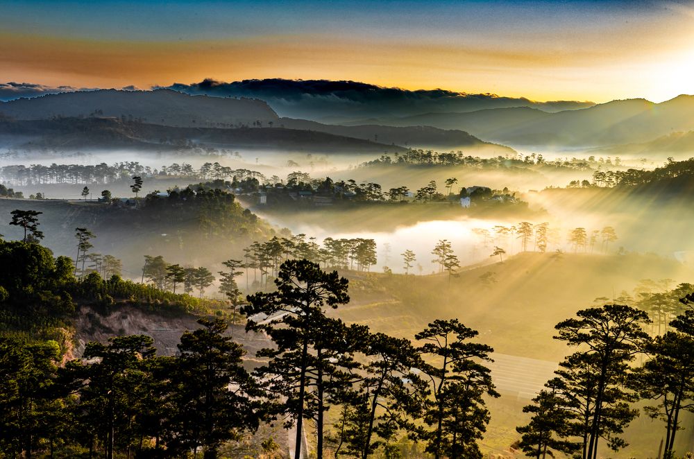 Photograph by Dũng Phùng