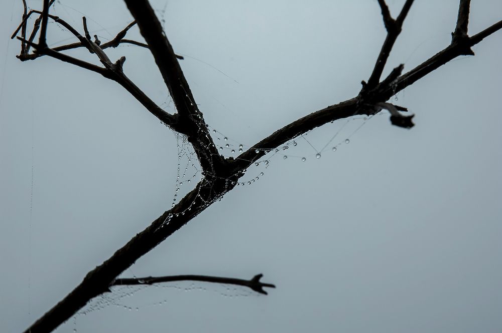 Photograph by Алексей Патлах