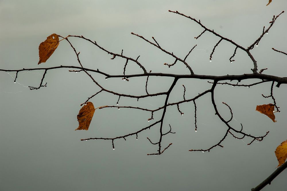 Photograph by Алексей Патлах