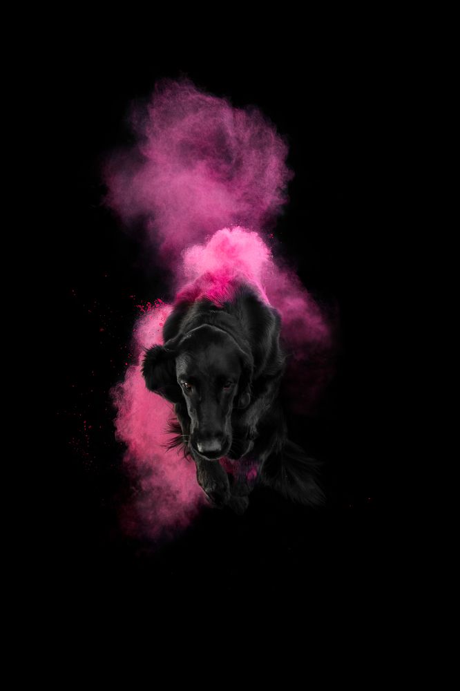 Photograph by Veronika Zatorkina