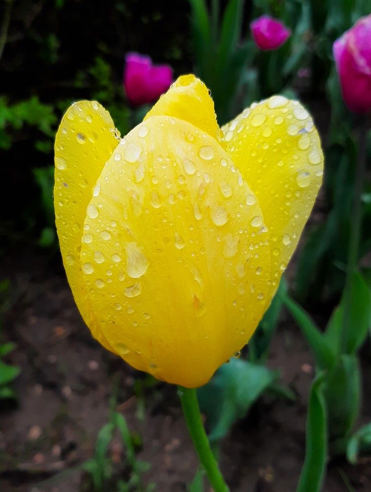 Photograph by Галина Глазкова