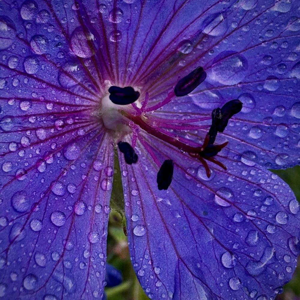 Фотография автора Евгения Елисеева