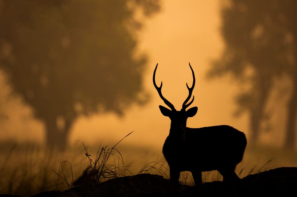 Photograph by Prince Pravin