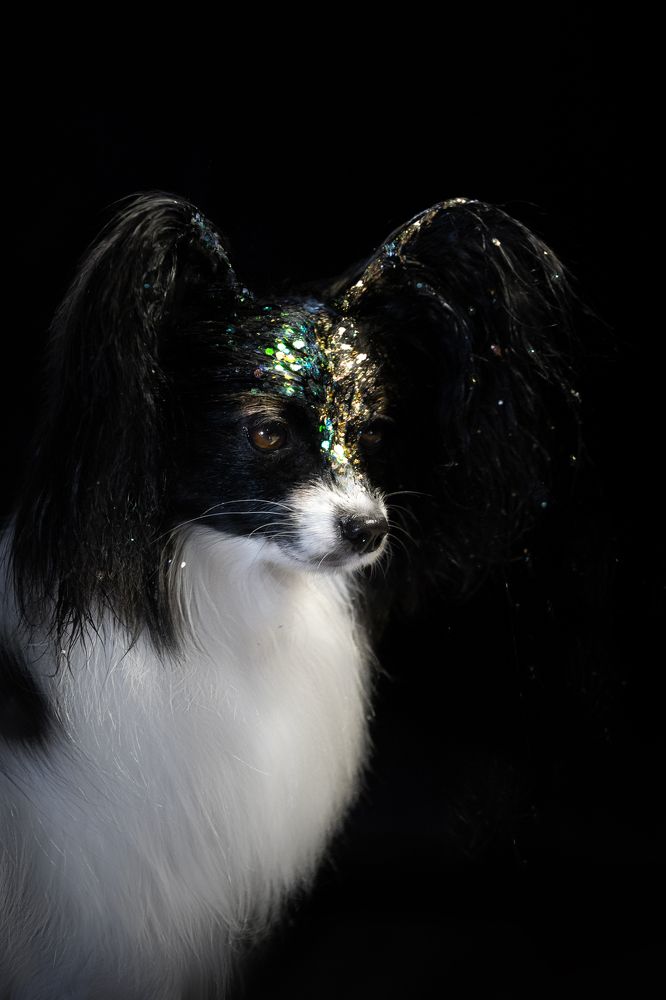 Photograph by Veronika Zatorkina