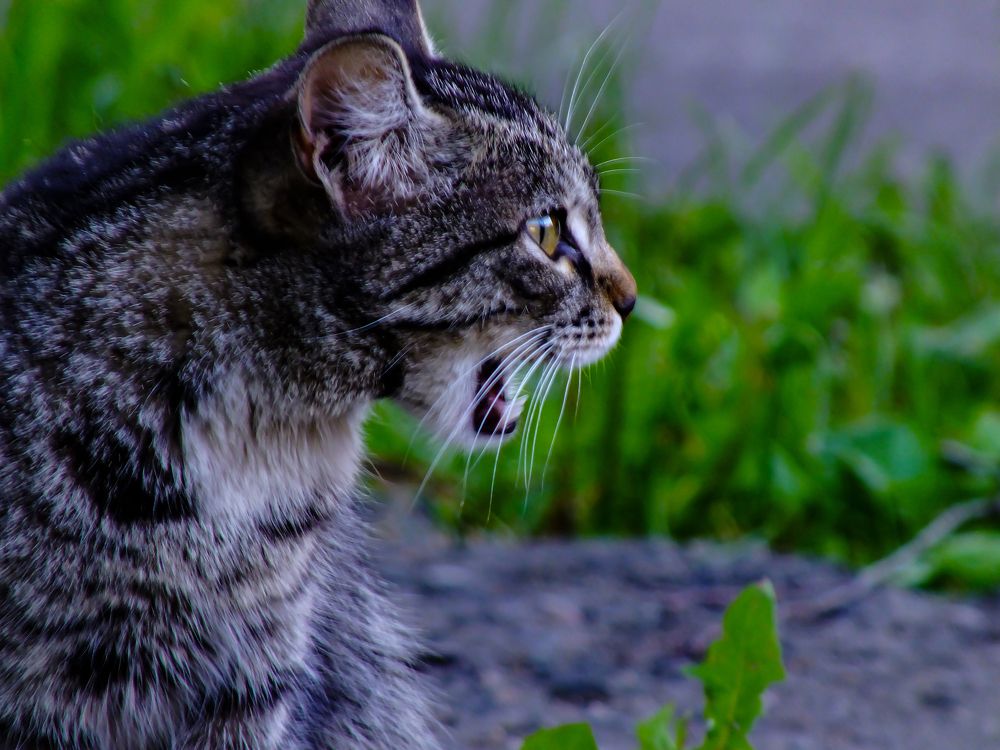 Photograph by Сергей Михайлов