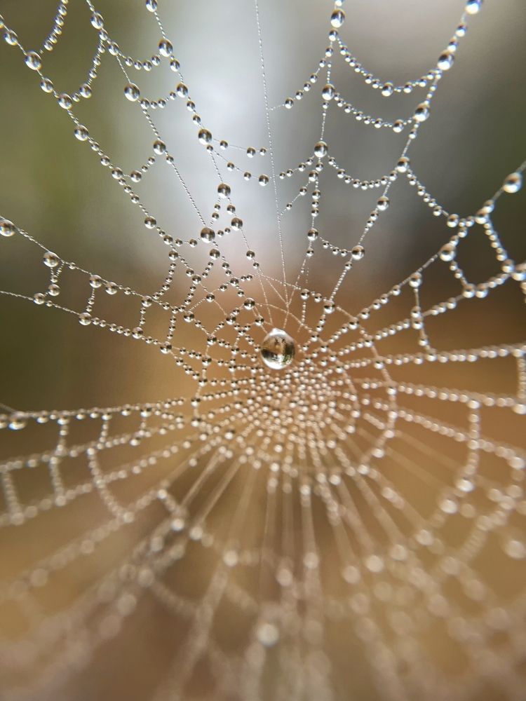 Photograph by Inna Belinskaya