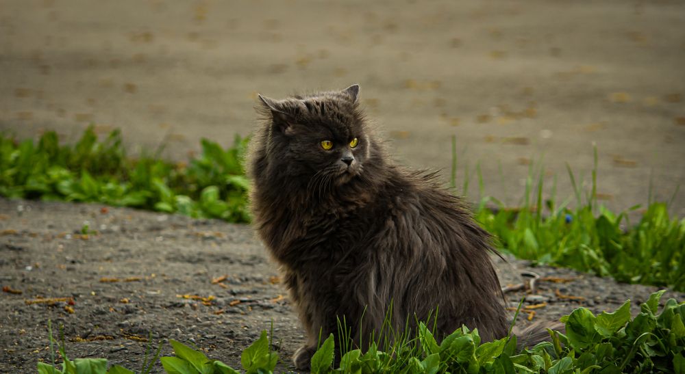 Photograph by Сергей Михайлов