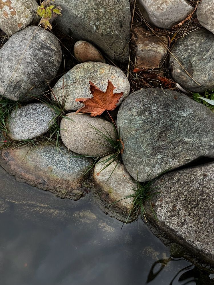 Photograph by Inna Belinskaya
