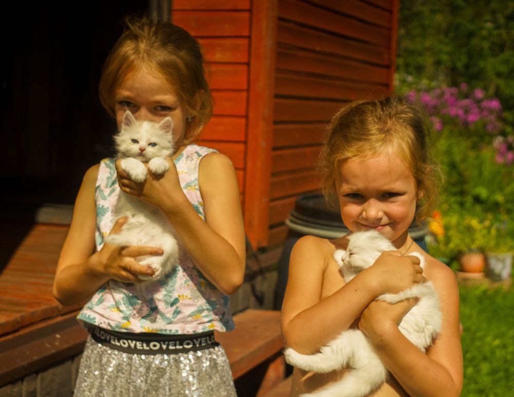 Photograph by Vladimir Borisov