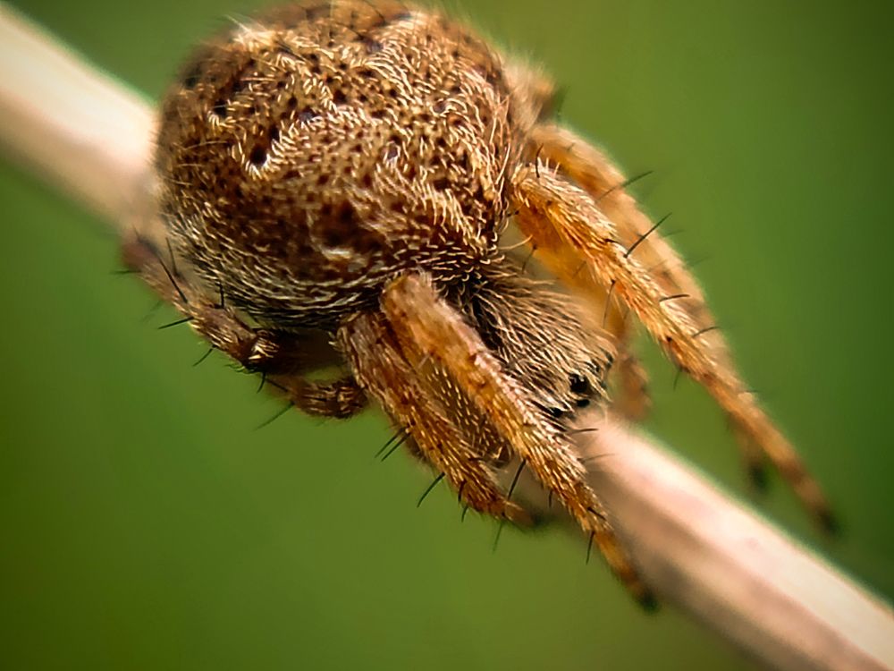 Photograph by Любовь Коровацкая