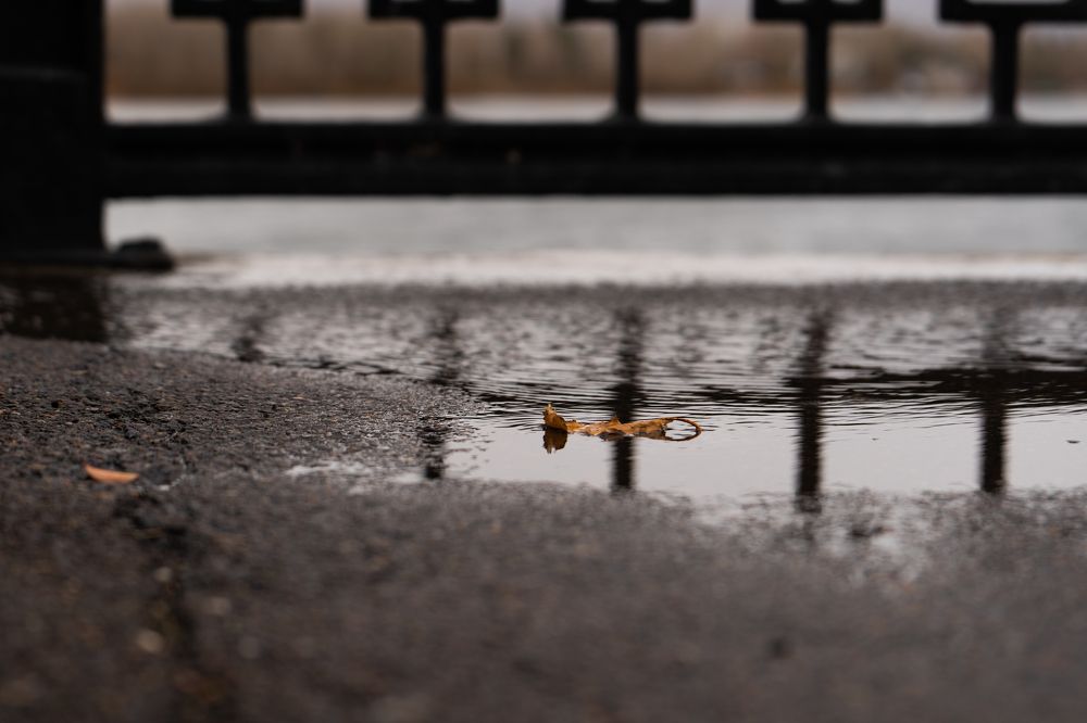 Photograph by Елена Николайчук