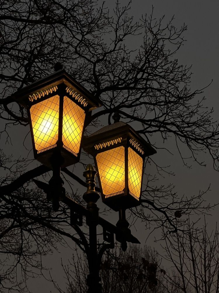 Photograph by Елена Брижеватая