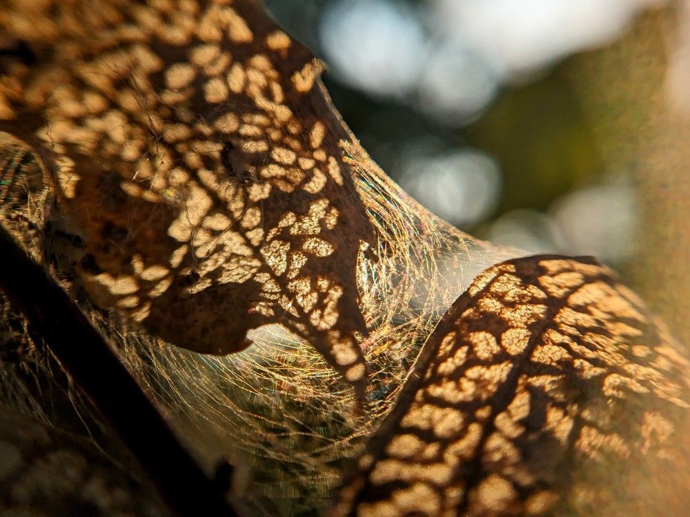 Photograph by Мария Гусакова