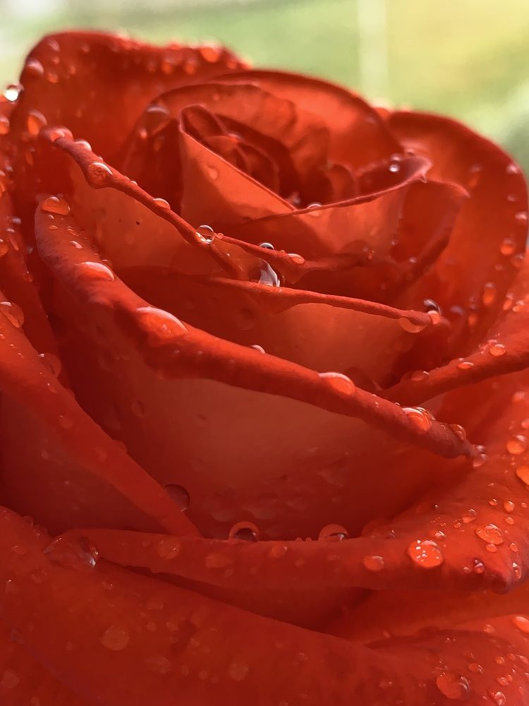 Фотография автора Ирина Шпаковская