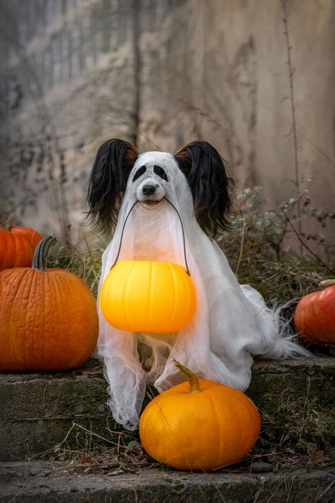 Photograph by Veronika Zatorkina