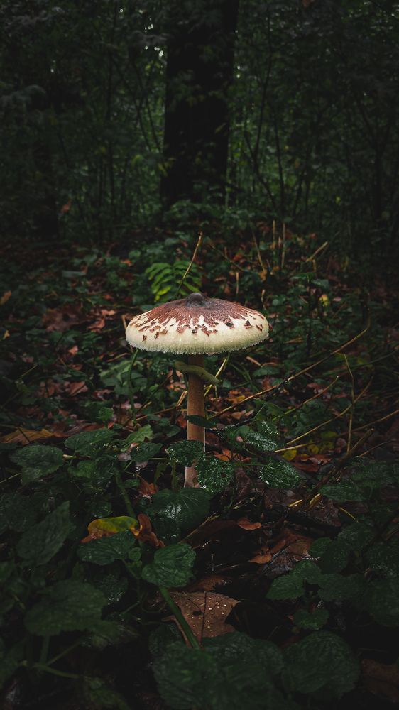 Photograph by Anastasia Muratidi