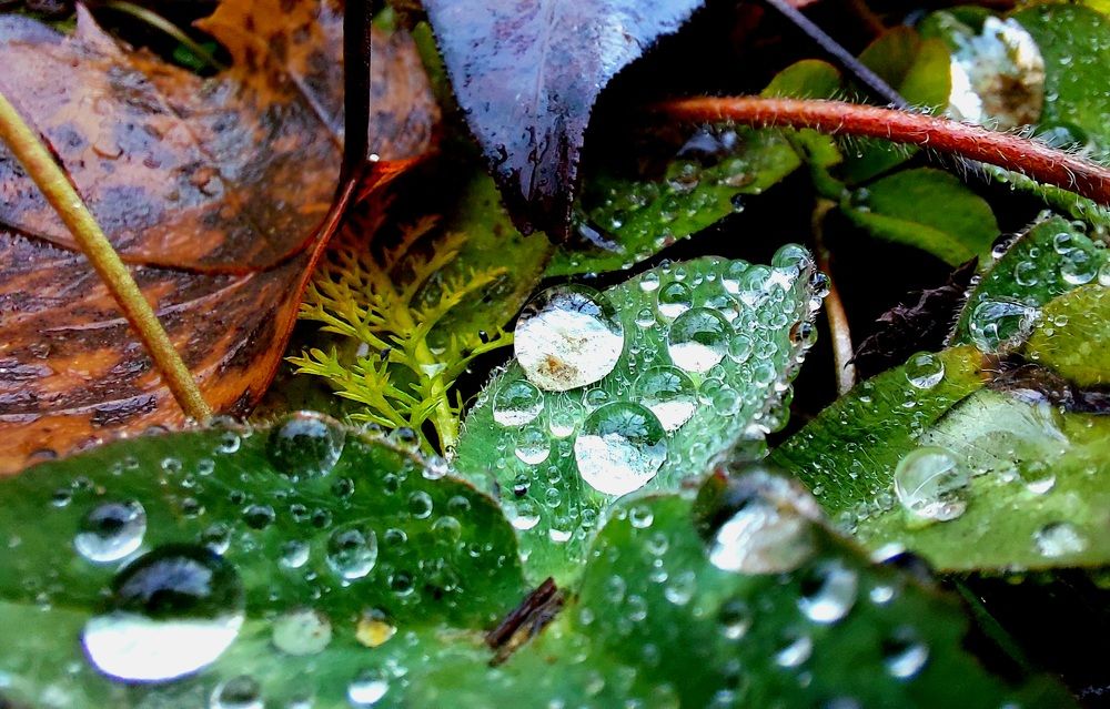 Фотография автора Анастасия Куликова