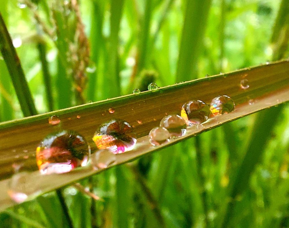 Фотография автора Анастасия Куликова