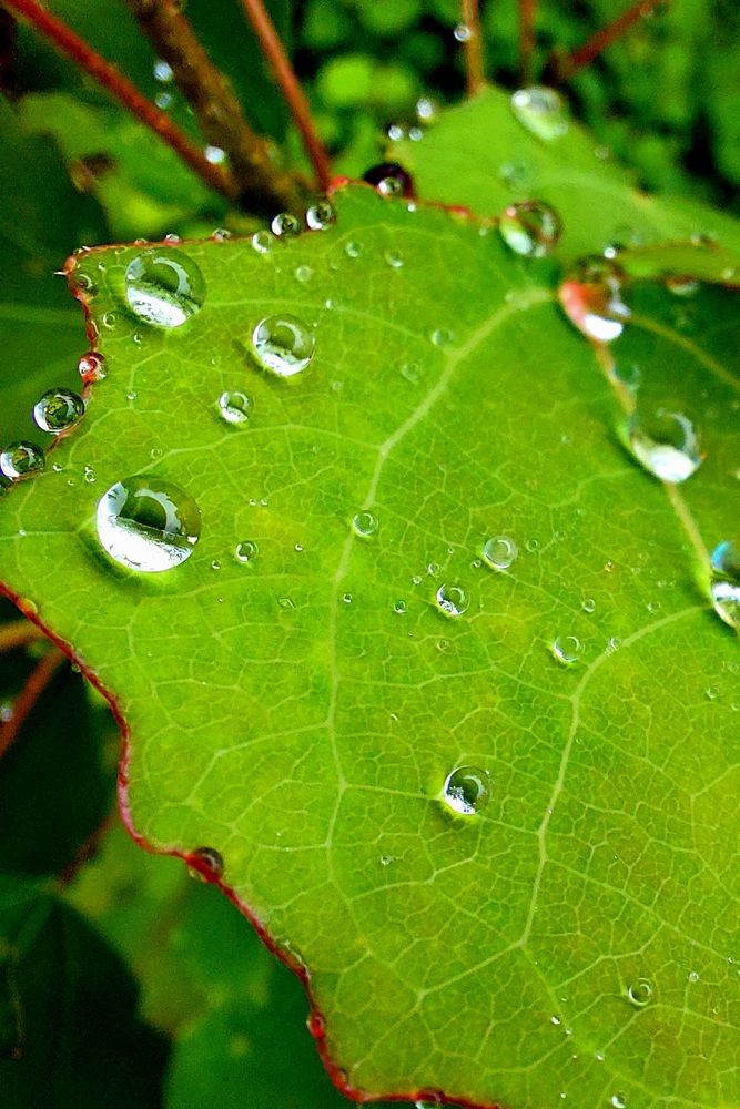 Фотография автора Анастасия Куликова