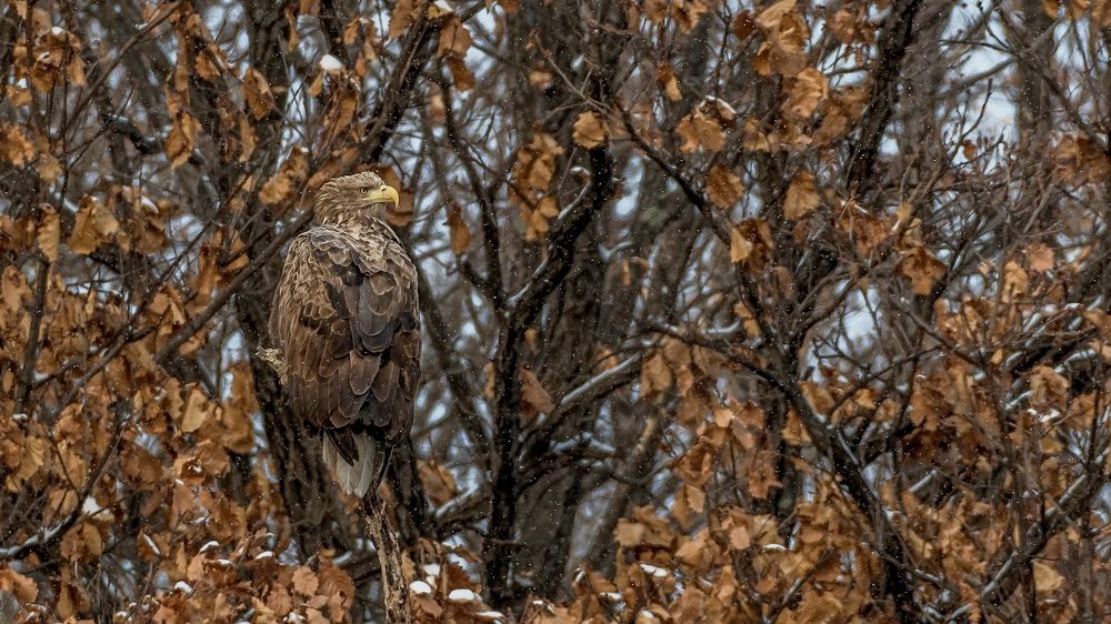 Photograph by константин