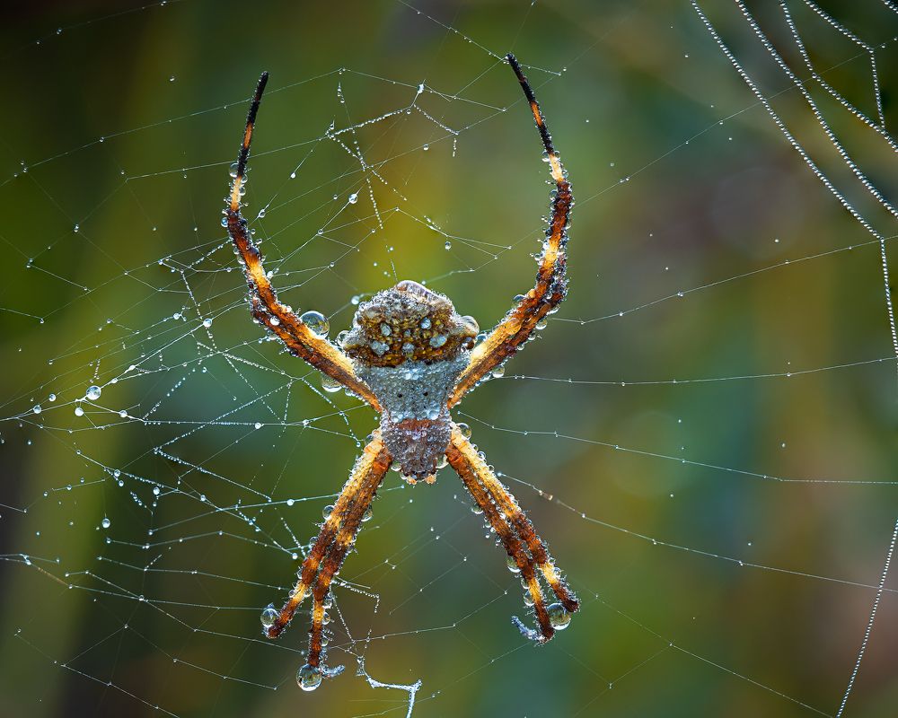 Photograph by Valdir Hobus