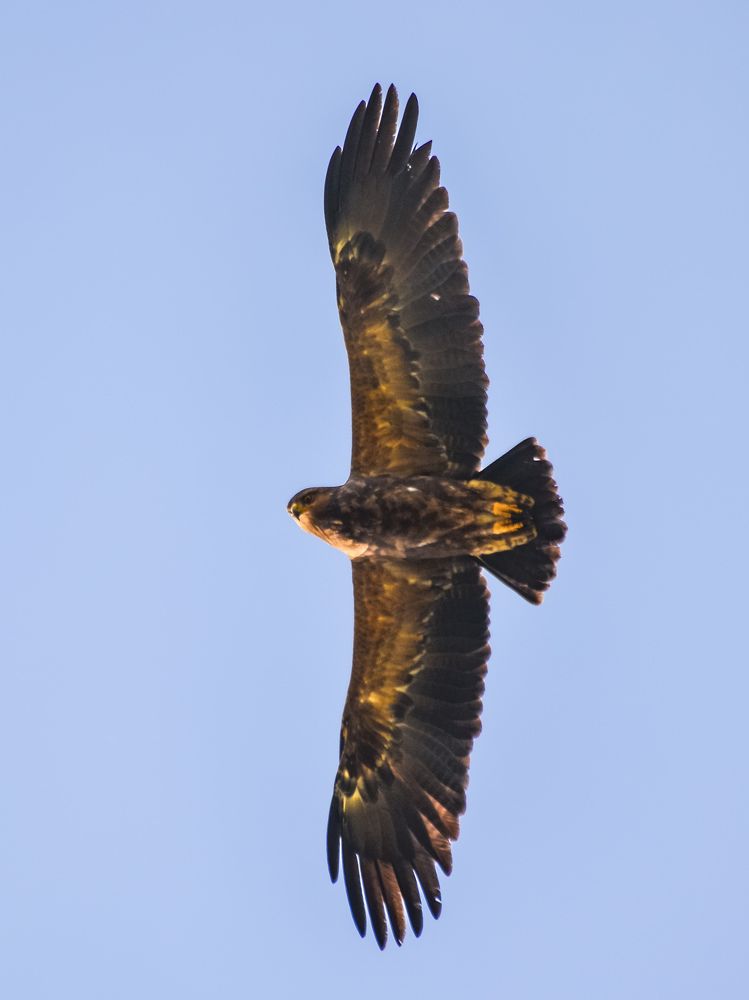 Photograph by Анастасия Гурова