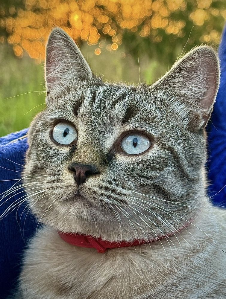 Photograph by Арина Бурда