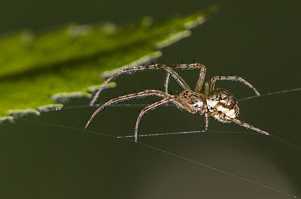 Фотография автора Andrey Pristyazhnyuk