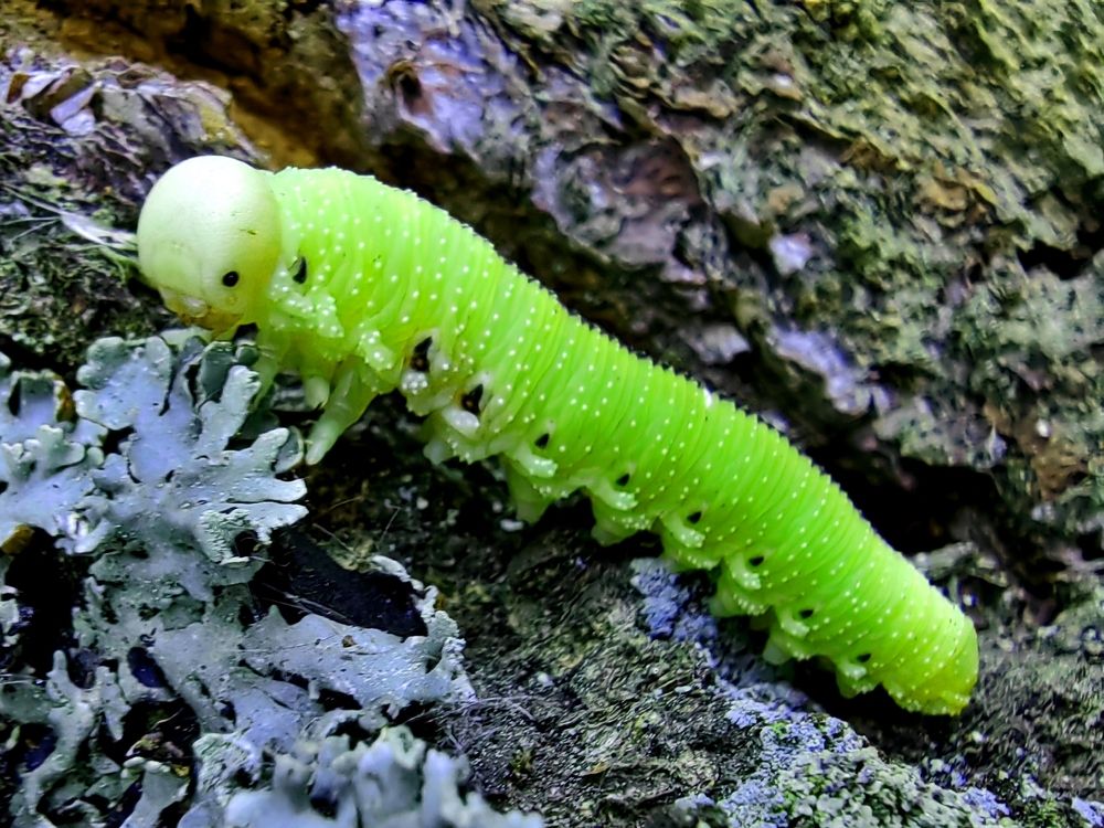 Photograph by Юлиан Щукин