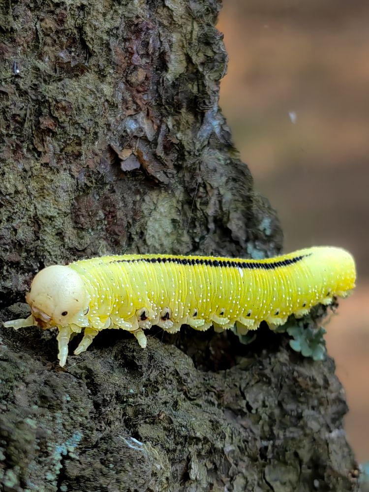 Photograph by Юлиан Щукин