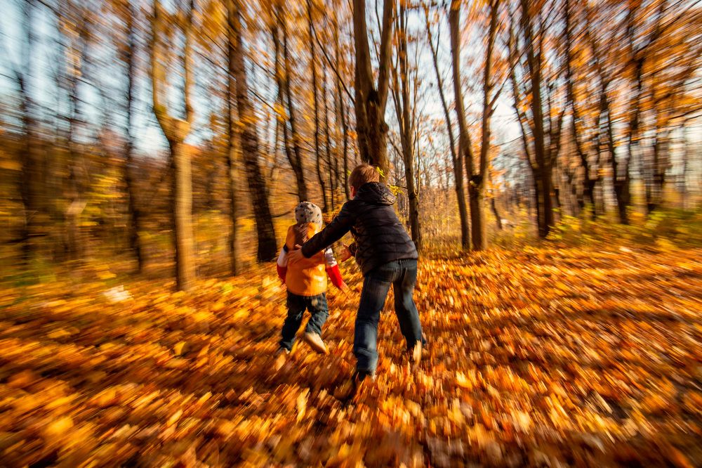 Photograph by Светлана Карнаух