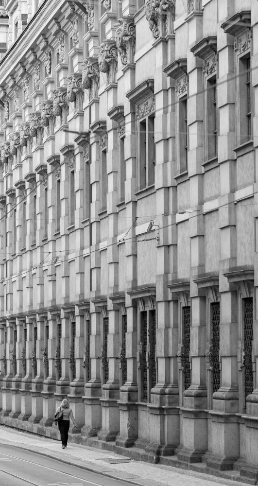 Photograph by Luis Francisco Bravo Olazabal