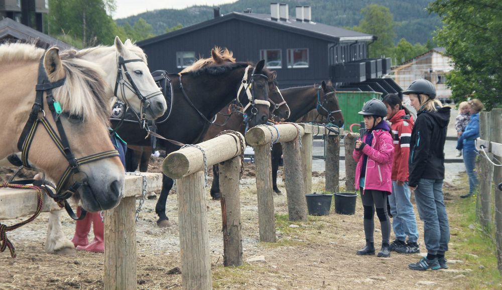 Photograph by Вячеслав Лычков