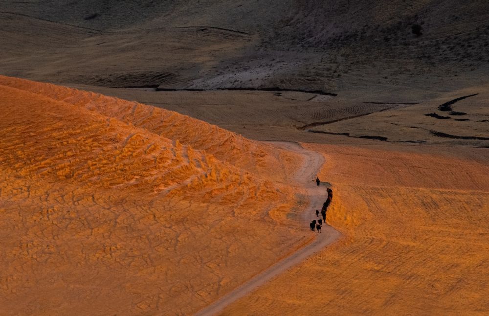 A wKurdish cowboy returns home one evening