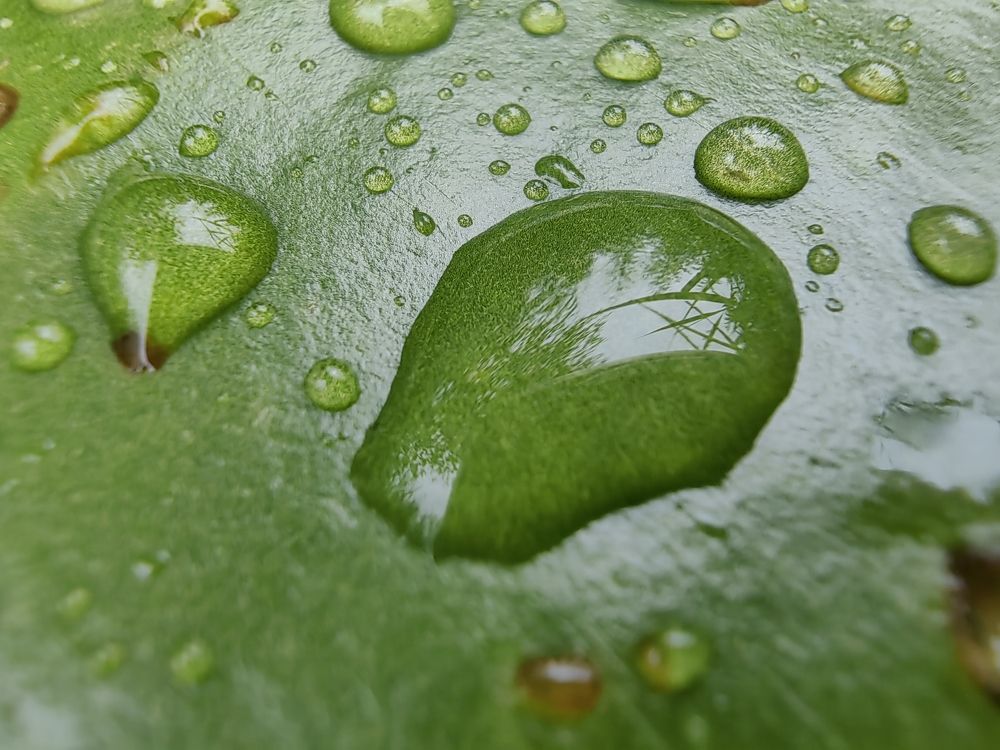 Photograph by Юлиан Щукин