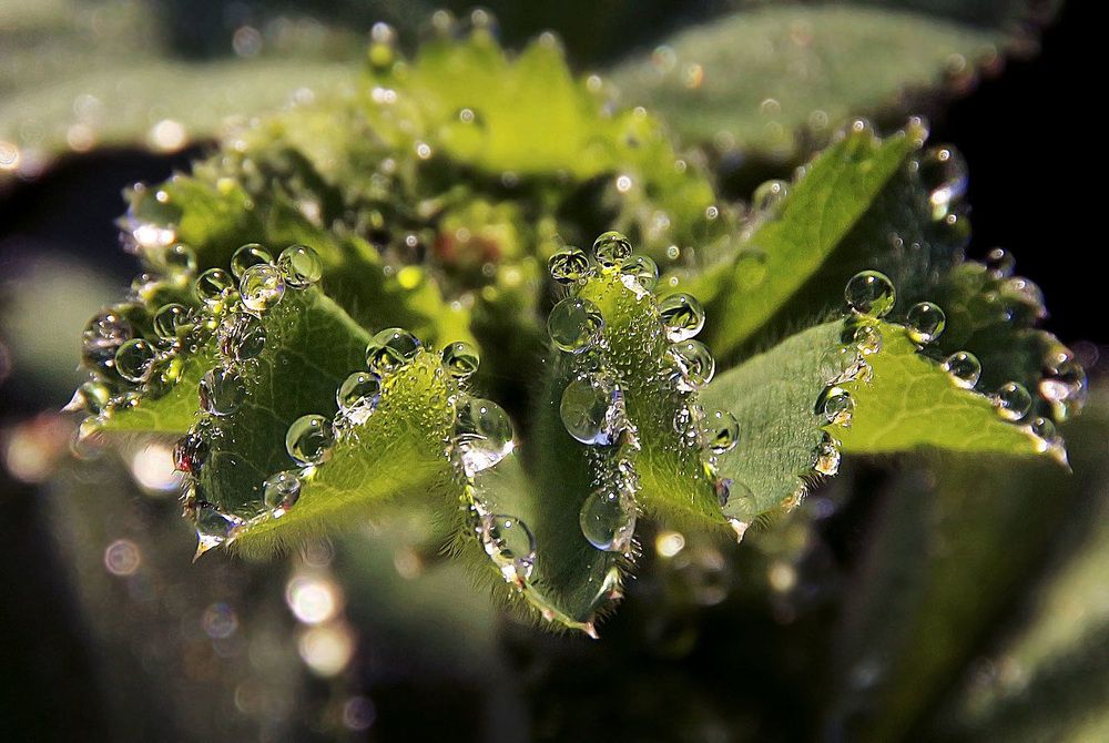 Фотография автора Александр