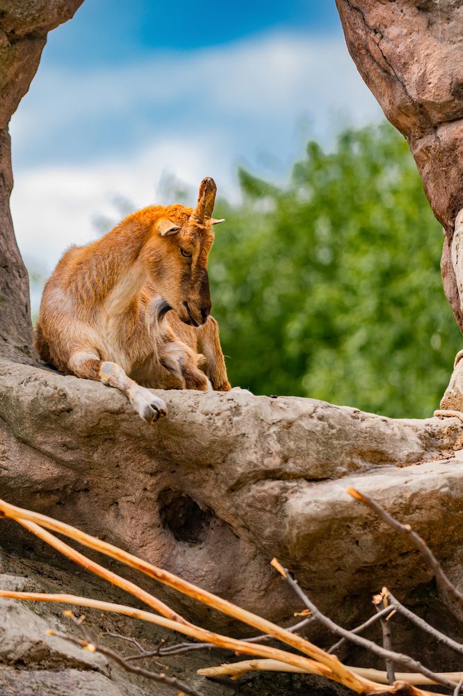 Photograph by Валерий Худынцев