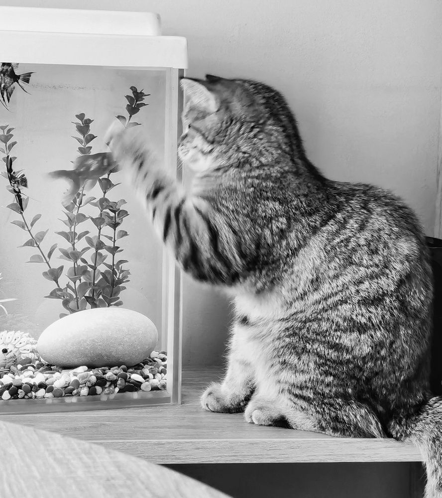 Photograph by Артем Парамонов