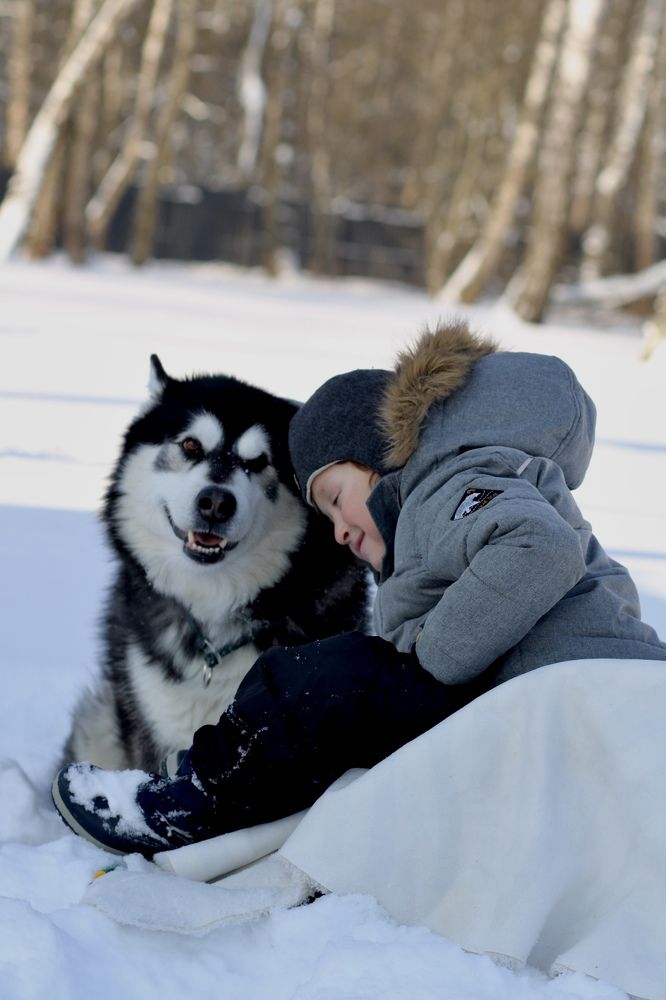 Photograph by Екатерина Позднякова