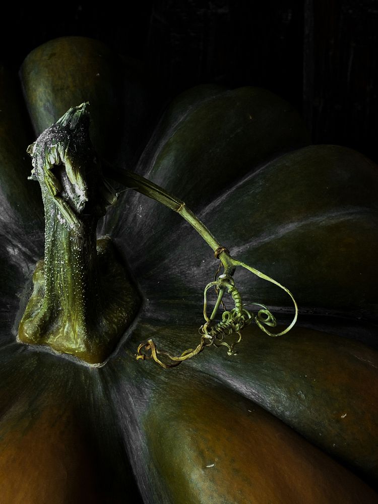 Photograph by Дарья Махнёва