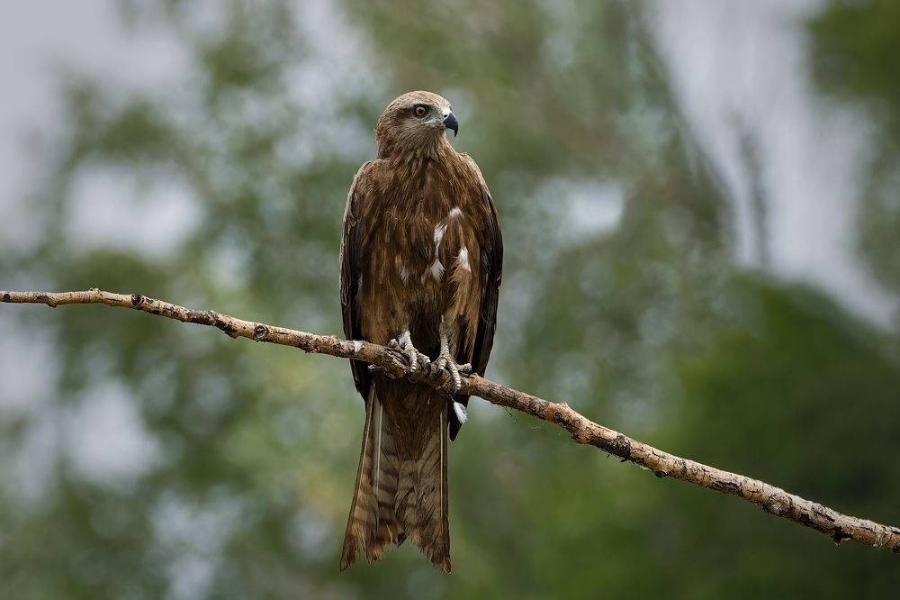 Photograph by Александр Перегудов