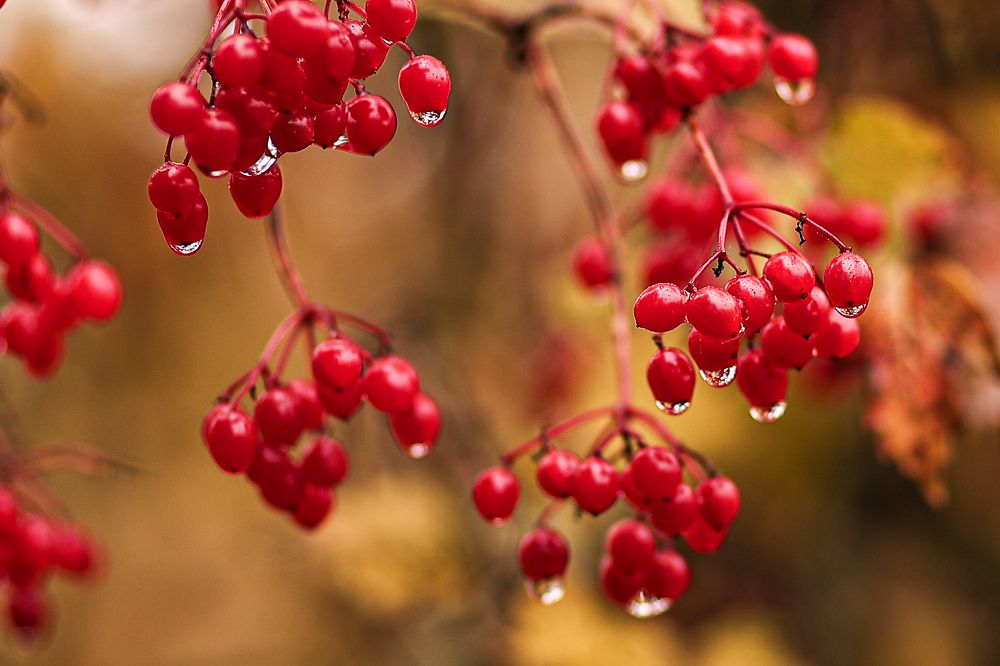 Photograph by Елена Одынец